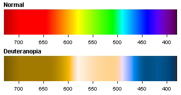 Deuteranopia ( Red-Green Color Blindness - Colbindor).png