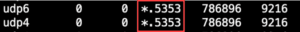 Figure10-300x32.png|Open Port MacOS